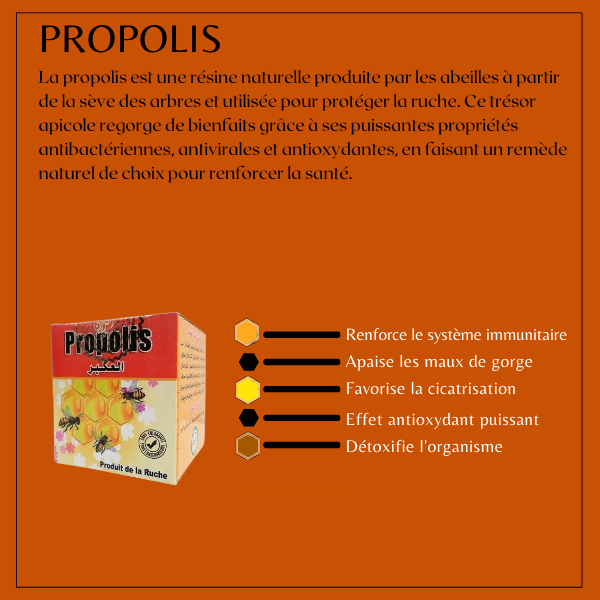 PROPOLIS